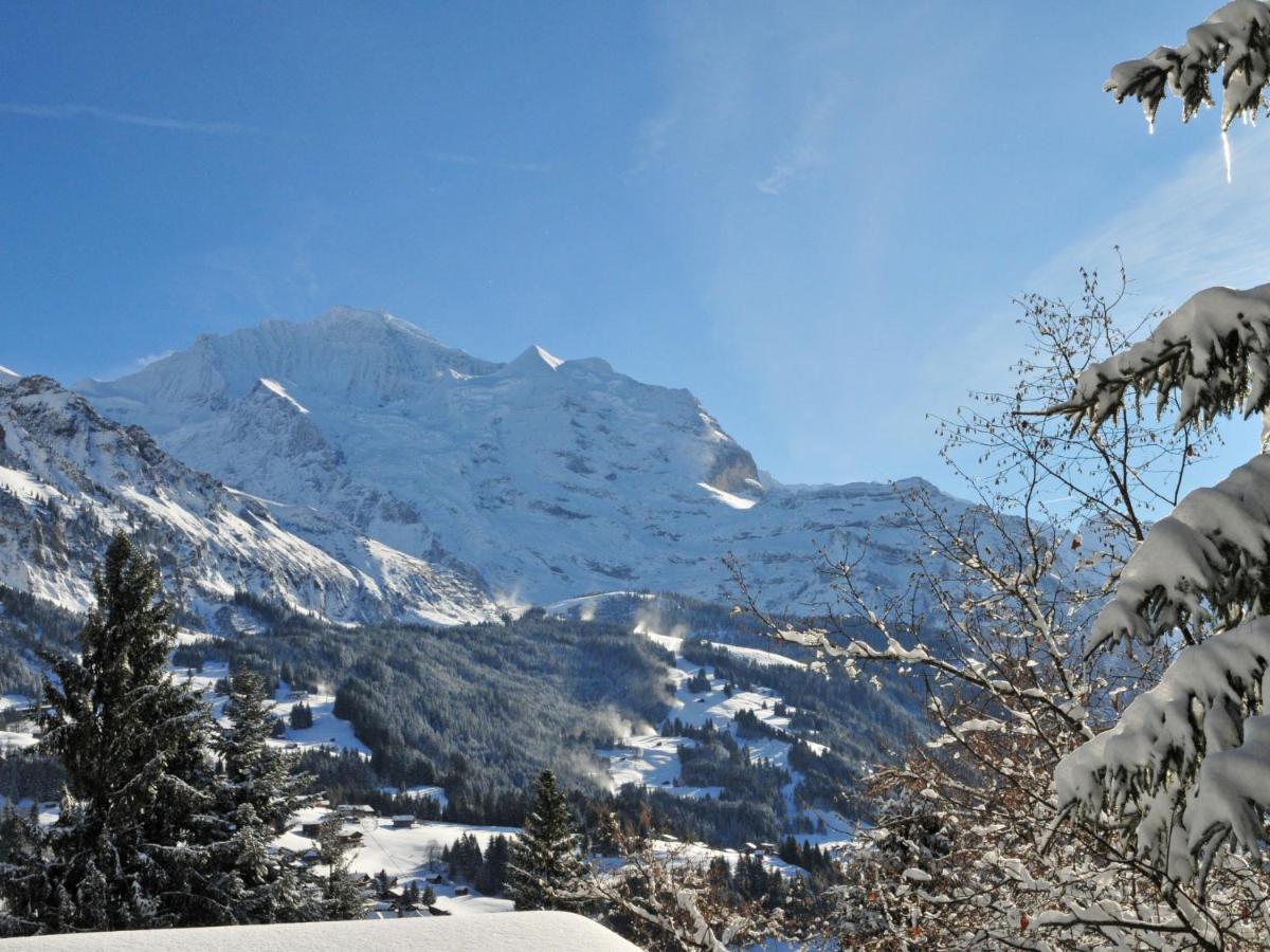Apartment Melodie By Interhome Wengen Exterior foto